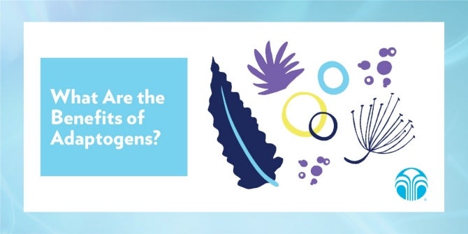 Print What are the benefits of adaptogens by Nu Skin